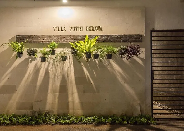 Putih Berawa *